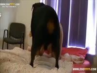 Homemade dog sex with a cute bitch